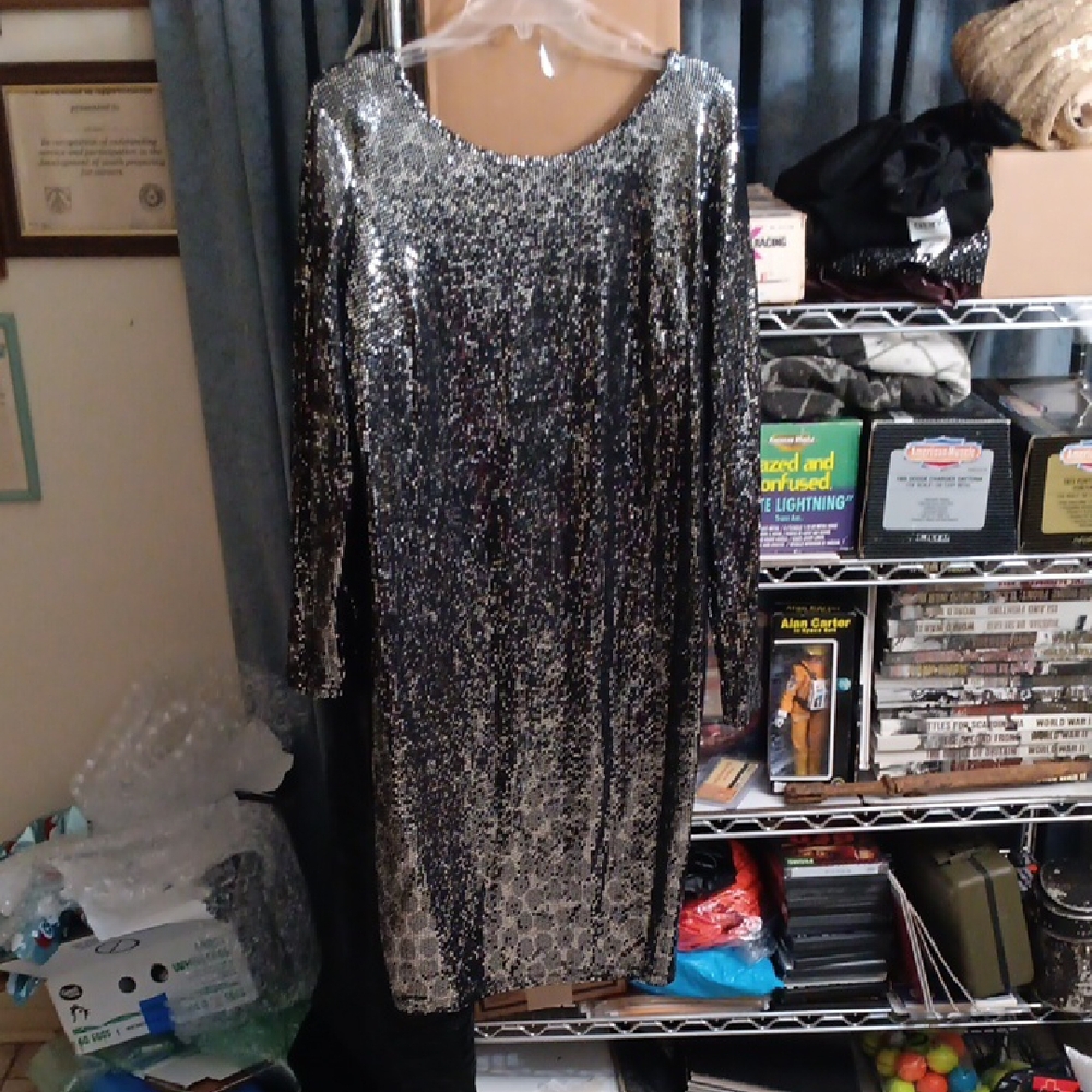 Silver Sequin Dress